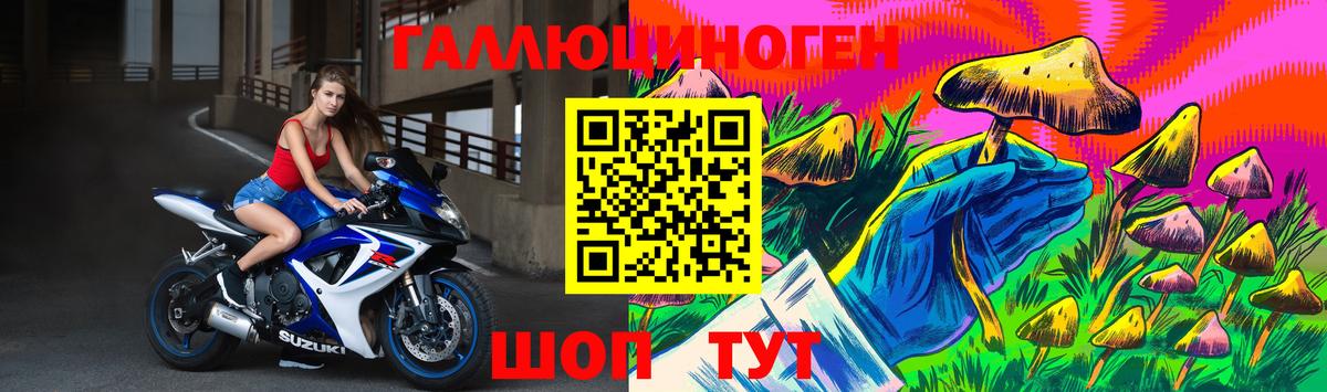 Железноводск  Галлюциногенные грибы Psilocybe  Вход с VPN 